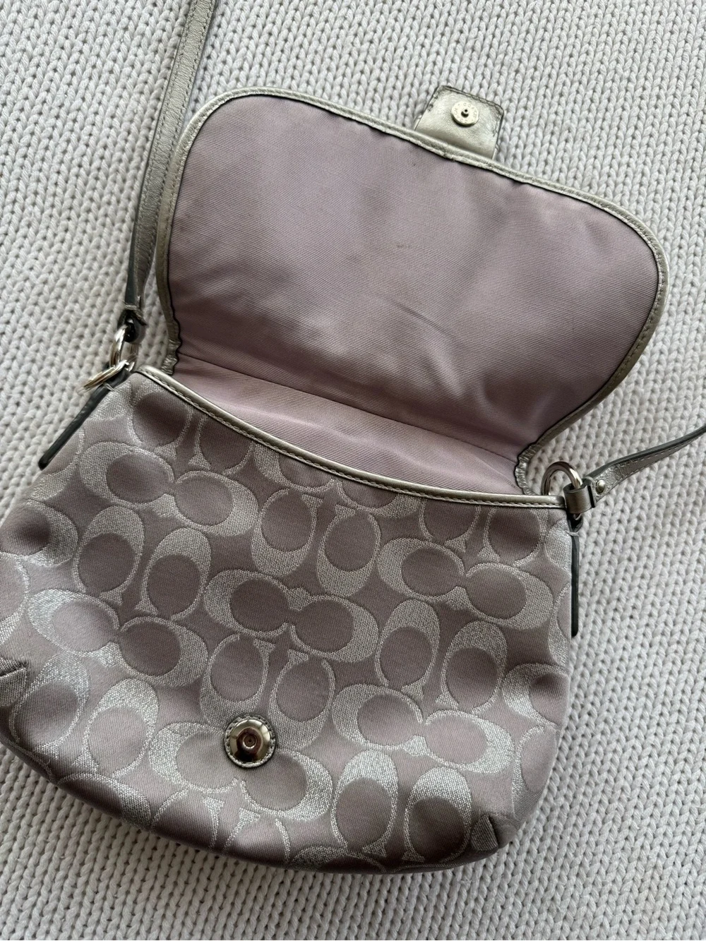 Coach Metallic Taupe Signature Saddle Crossbody